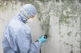 Best Commercial Mold Inspection  in Nellysford, VA